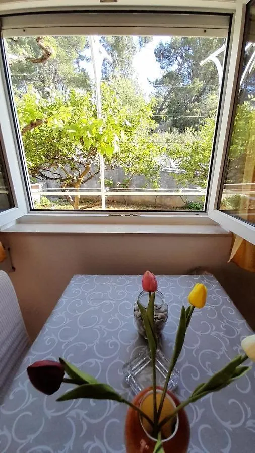 ***Strawberry Apartments*** Donji Okrug  Apartment Donji Okrug (Ciovo)